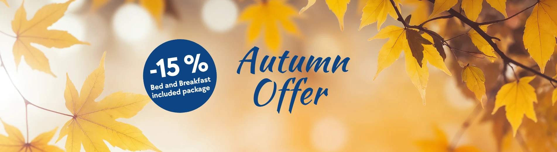 Automn offer