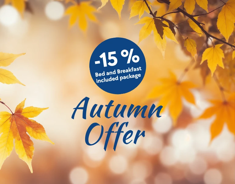 Automn offer